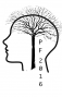 tree-with-roots_brain_pf2016_small.png