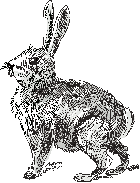 Maly Zajic Science Blog