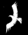 eagle_ico_black.gif
